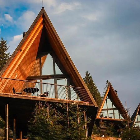 Уліс Ворохта Villa Krivopol'ye Exteriör bild